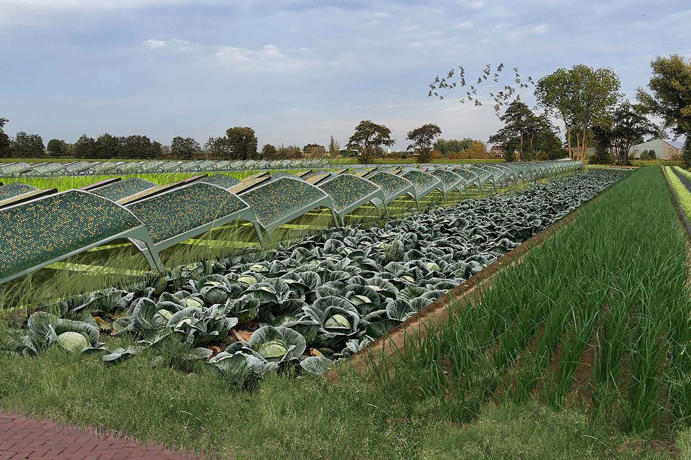 De zonnekever | energie opwekken in het landschap | Solarix